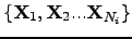 $ \left\{\bfx _1,\bfx _2 ... \bfx _{N_i}\right\}$