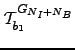 $ \mathcal{T}_{b_1}^{G_{N_I+N_B}}$