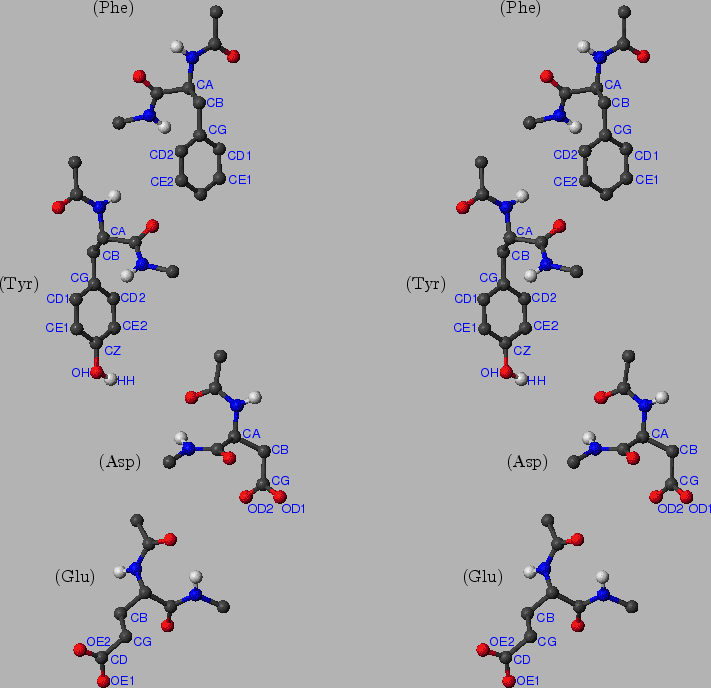 \begin{psfrags}\psfrag{Tyr} [bc][bc]{(Tyr)}\psfrag{Phe} [bc][bc]{(Phe)}\ps...
...s{rotamers/Asp.ps}}
\centerline{\includegraphics{rotamers/Glu.ps}}
\end{psfrags}